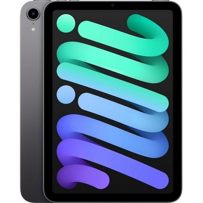 Планшет Apple iPad mini 2021, 256 ГБ, Wi-Fi, серый космос - фото 10299