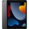 Планшет Apple iPad 10.2 2021, 256 ГБ, Wi-Fi, серый космос - фото 10335